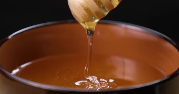 Honung hälla i bowl närbild. Hälsosam naturlig söt efterrätt. — Stockvideo