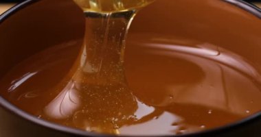 Bal ayı sağlıklı doğal tatlı