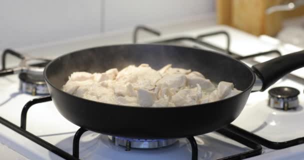 Preparación de la carne de pollo en el primer plano de la sartén, añadir especias — Vídeos de Stock