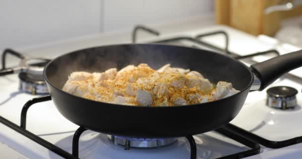 Preparación de la carne de pollo en el primer plano de la sartén, añadir sal — Vídeos de Stock