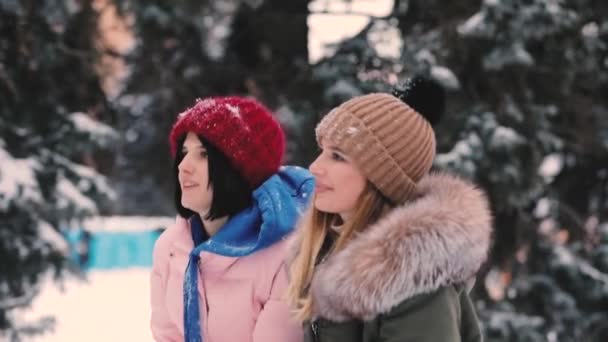 Glada kvinnor vänner spelar kastar snö tillsammans på vinterdag, slowmotion — Stockvideo