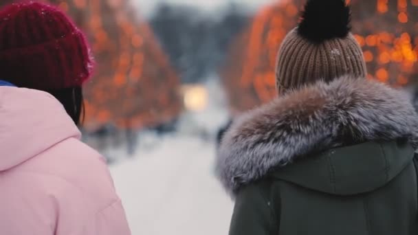 Las amigas felices se van por el callejón en el día de invierno. — Vídeo de stock