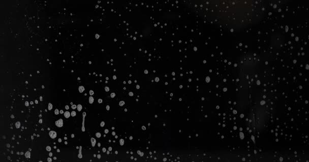 Mycie powierzchni ciemnego szkła z pianki — Wideo stockowe