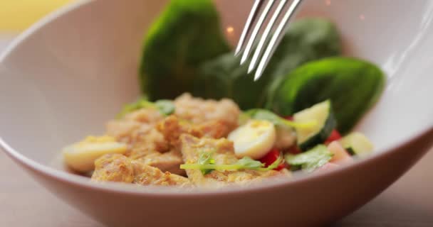 Macro video van het eten van de lunch, een stukje kip rekening met een vork — Stockvideo