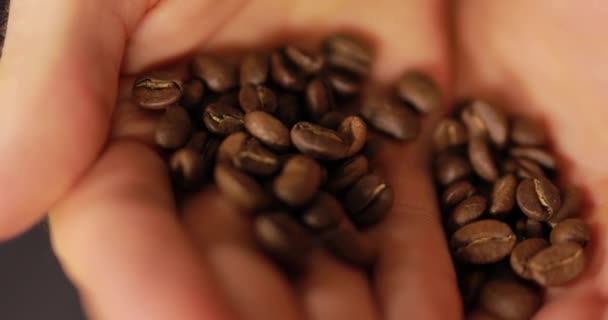 Primer plano de granos de café en una palma masculina — Vídeos de Stock