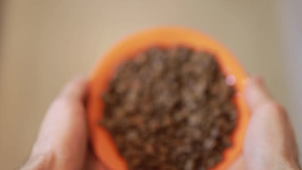 First person view of man holding orange plate with coffee beans — Stock Video