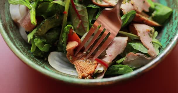 Point of view eating fresh salad, cantharellus cibarius on a fork — Stock Video