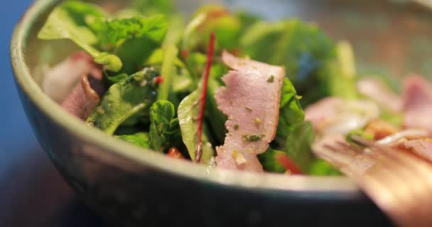 POV, comer ensalada fresca, carne de pato ahumada en un tenedor, video de alimentos — Vídeo de stock