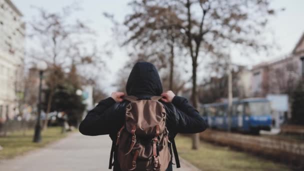 Вид сзади на человека туриста, идущего вдоль аллеи города — стоковое видео