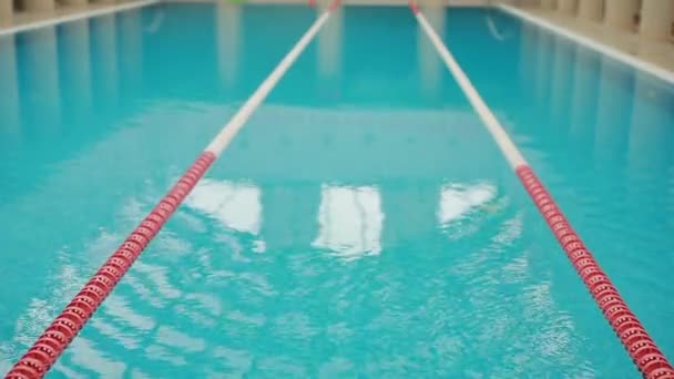 Piscine, steadicam shot — Video