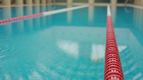 Swimming pool, steadicam shot — Stock Video