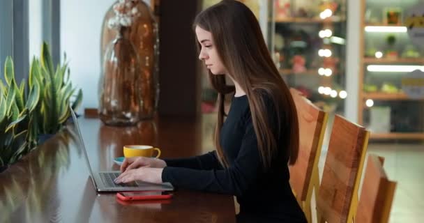 Frau am Laptop sitzt in einem Café — Stockvideo