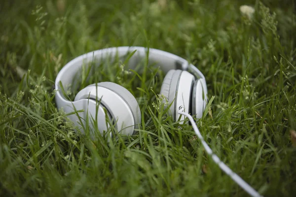 草地上的白色耳机 — 图库照片