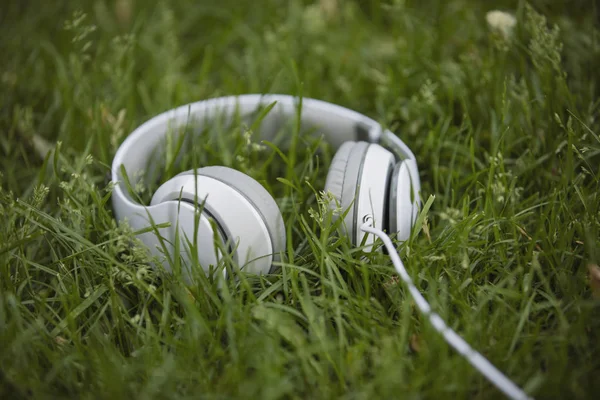 Auriculares blancos en la hierba —  Fotos de Stock