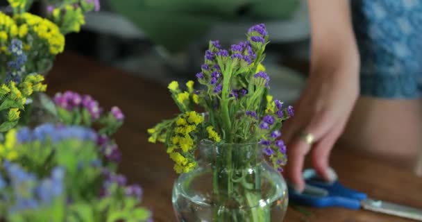 Florista fazer um buquês de flores — Vídeo de Stock