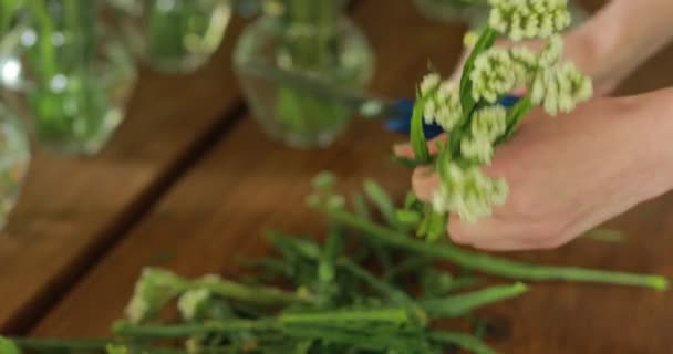 Bloemist maakt bloemen boeketten — Stockvideo