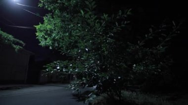 Trafiğe düşük yol. Gece şarkı Crickets, orijinal ses içerir.