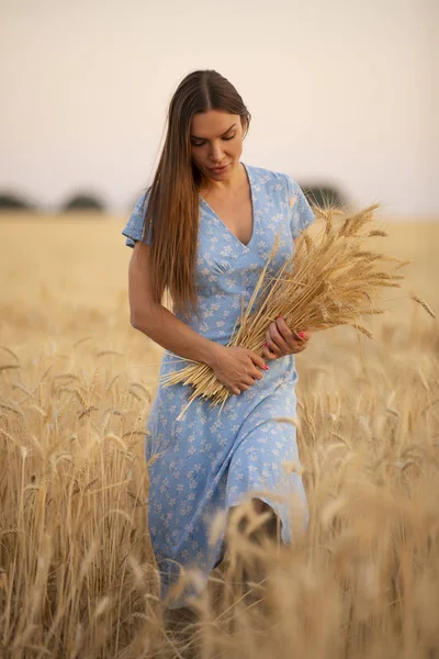 Parasztnő gazdaság Spikelets a búza — Stock Fotó