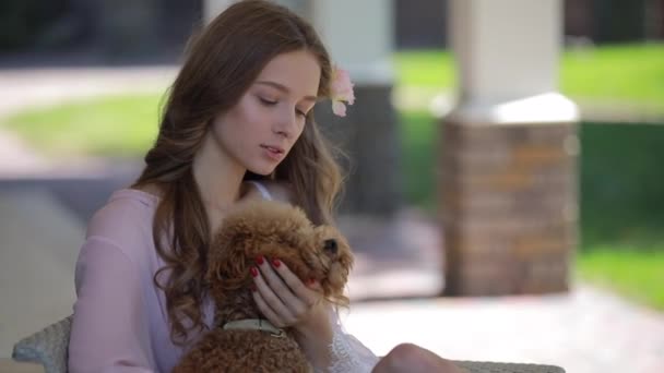 Ömhet av ung kvinna med hund — Stockvideo