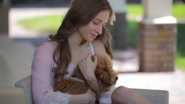 Köpek ile genç kadının hassasiyeti — Stok video