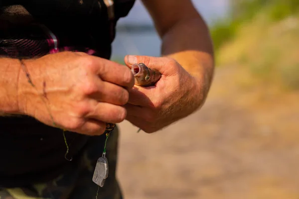 어부의 손에 작은 물고기 — 스톡 사진