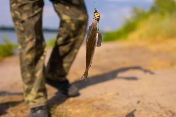 フックの上の小さな魚 — ストック写真