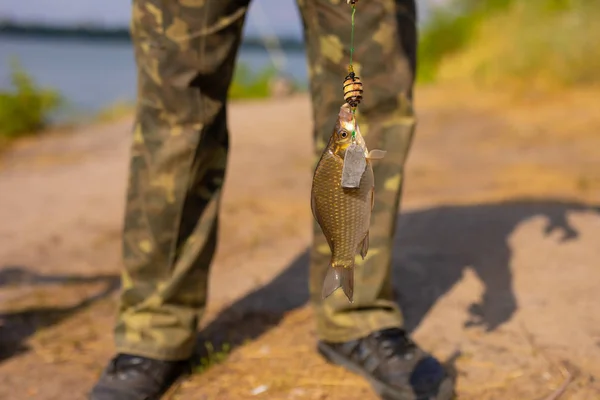 フックの上の小さな魚 — ストック写真