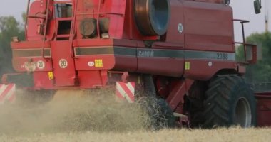 Ukrayna, Dnepr-17 Temmuz 2017: buğday hasat. Hasat alanında.