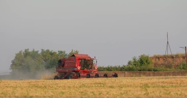 UCRAINA, DNEPR - 17 luglio 2017: Raccolta del grano. Raccoglitore sul campo . — Video Stock