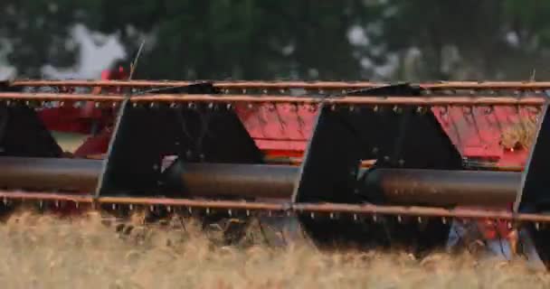 UKRAINE, DNEPR - 17 juillet 2017 : Récolte du blé. Récolteuse sur le terrain .