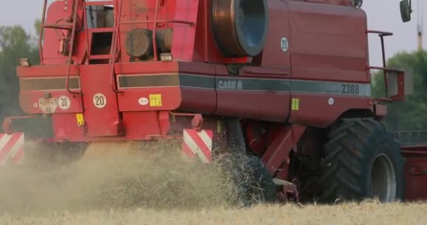 Ukraine, dnepr - 17. Juli 2017: Weizenernte. Erntemaschine auf dem Feld. — Stockvideo