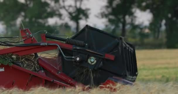 ウクライナ、ドネプル - 7月17、2017:小麦を収穫。フィールド内の収穫機. — ストック動画