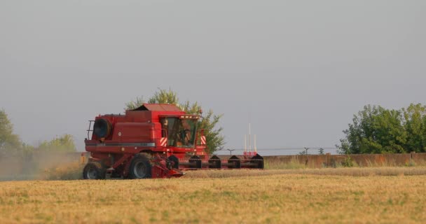 Україна, Дніпро-17 липня 2017: збирання пшениці. Комбайн в польових. — стокове відео