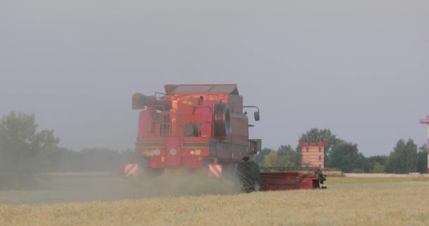 UKRAINE, DNEPR - 17 juillet 2017 : Récolte du blé. Récolteuse sur le terrain . — Video
