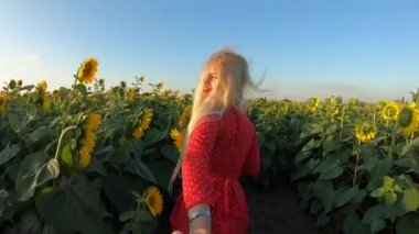 Pov. Beni takip edin. Ayçiçeği tarlasında erkek arkadaş tutan kadın..