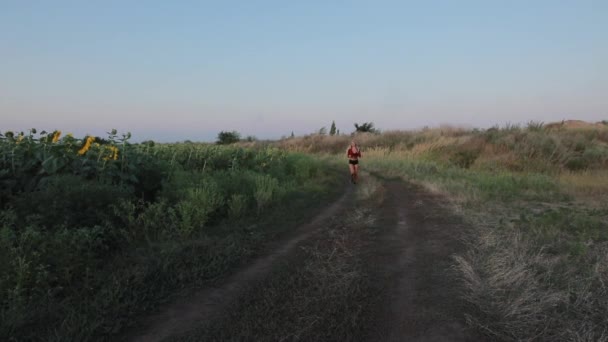 Сексуальная женщина бегает по полю подсолнухов, замедленная съемка — стоковое видео