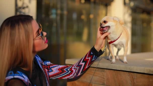 Mladá elegantní žena se dotýkejte svého psa ve městě — Stock video