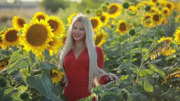 Красива жінка нюхає квітку в соняшниковому полі, повільний рух — стокове відео
