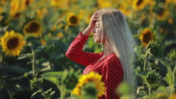 Ayçiçeği alanında sarışın kadın portresi, yavaş çekim — Stok video