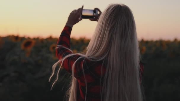 Mobiele fotografie, vrouw Maak een foto van zonnebloem veld — Stockvideo