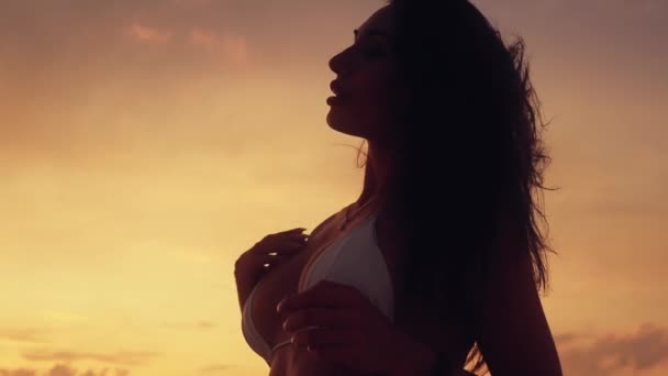 性感热女人在沙漠中摆姿势的剪影 — 图库视频影像