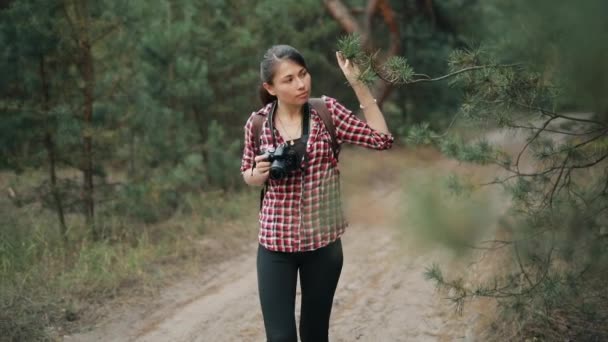 Tourist woman photographer hiking in forest — Stock Video