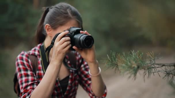 Turystka fotograf wędrówki w lesie — Wideo stockowe