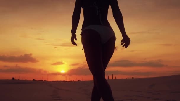 Вид сзади силуэт сексуальной женщины, идущей по пустыне — стоковое видео