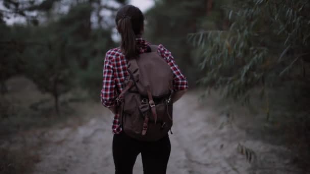 Туристическая женщина фотограф пеший туризм в лесу — стоковое видео
