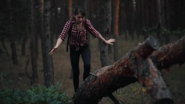 Woman scrambles up on tree trunk in forest and relaxing — Stock Video