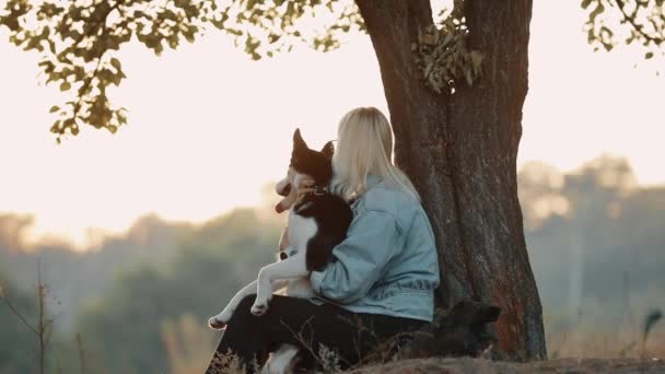 女性は木の近くに座って自然の上で犬と遊ぶ。ペットと夏を楽しむ. — ストック動画