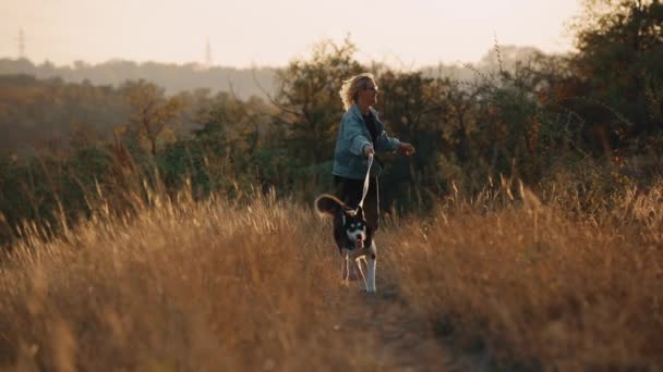 Mujer corriendo con perro en la naturaleza al atardecer. Despreocupado disfrutando de una hora de verano con mascota . — Vídeo de stock