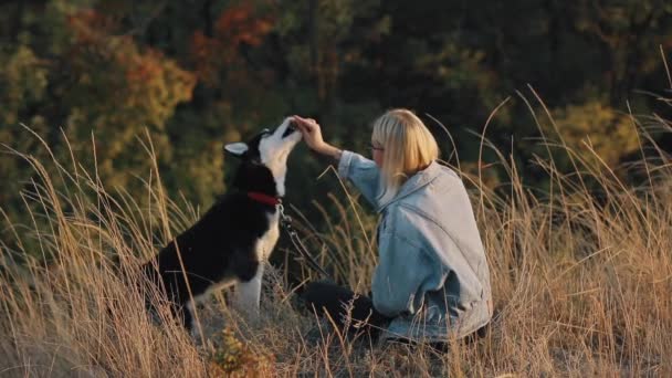 महिला प्रकृति पर कुत्ते के साथ खेलती है। देखभाल मुक्त पालतू जानवर के साथ एक ग्रीष्मकालीन समय का आनंद ले रहा है . — स्टॉक वीडियो