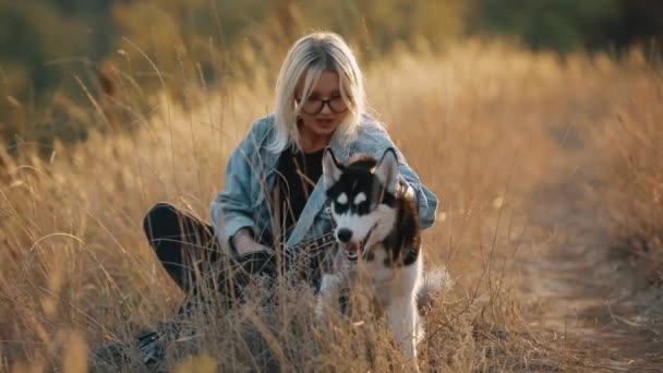 女は自然に犬と遊ぶ。ペットと一緒に夏の時間を楽しむケア. — ストック動画